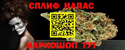 стафф Донецк